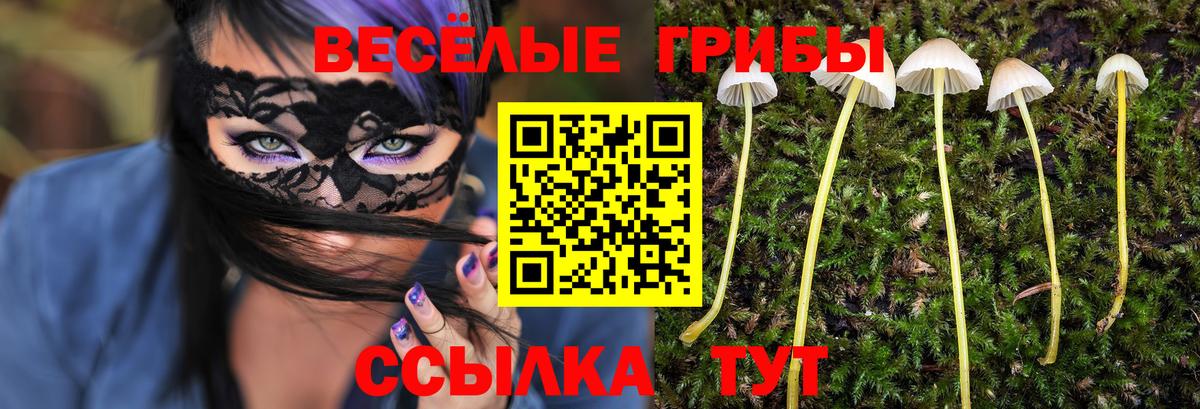 Псилоцибиновые грибы Cubensis  Галлюциногенные грибы Cubensis  Вход с VPN  Кудрово 