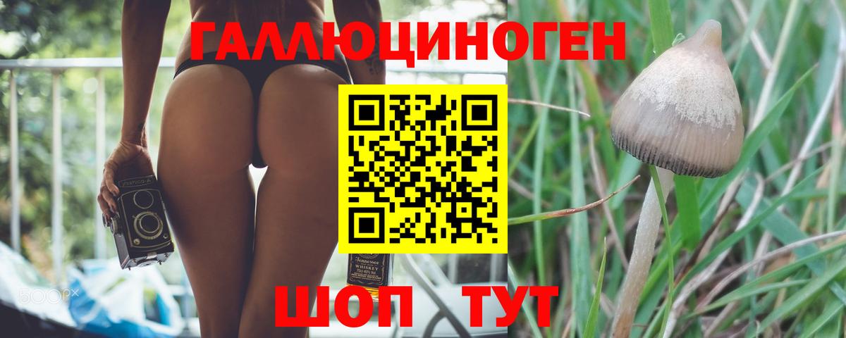 Псилоцибиновые грибы мицелий Кудрово